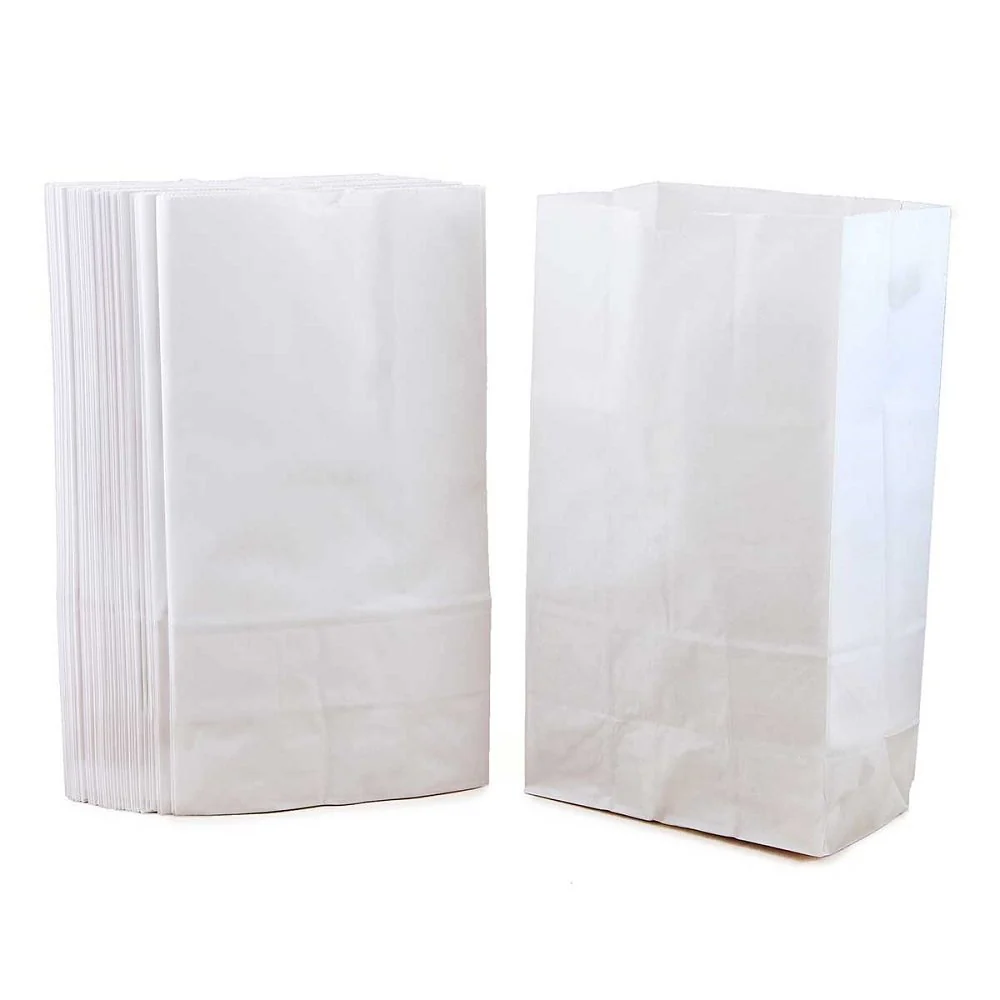Hygloss White Paper Bags Gusseted Flat Bottom Lunch Party Favors, Puppets, Crafts & More 2# Size-4.25 x 2.5 x 8 Inches-100 Pack, Small (4.25 x 2.5 x 8 Inch)