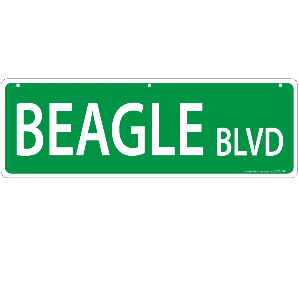 Imagine This Beagle Street Sign