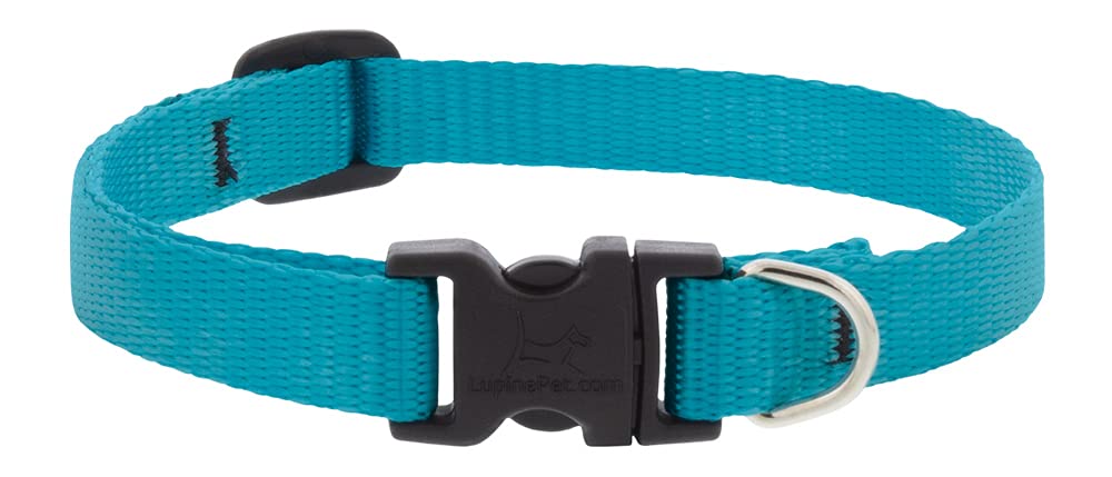Lupine Extra Small Dog Collar 1/2" Wide Aqua adjusts from 6" to 9"