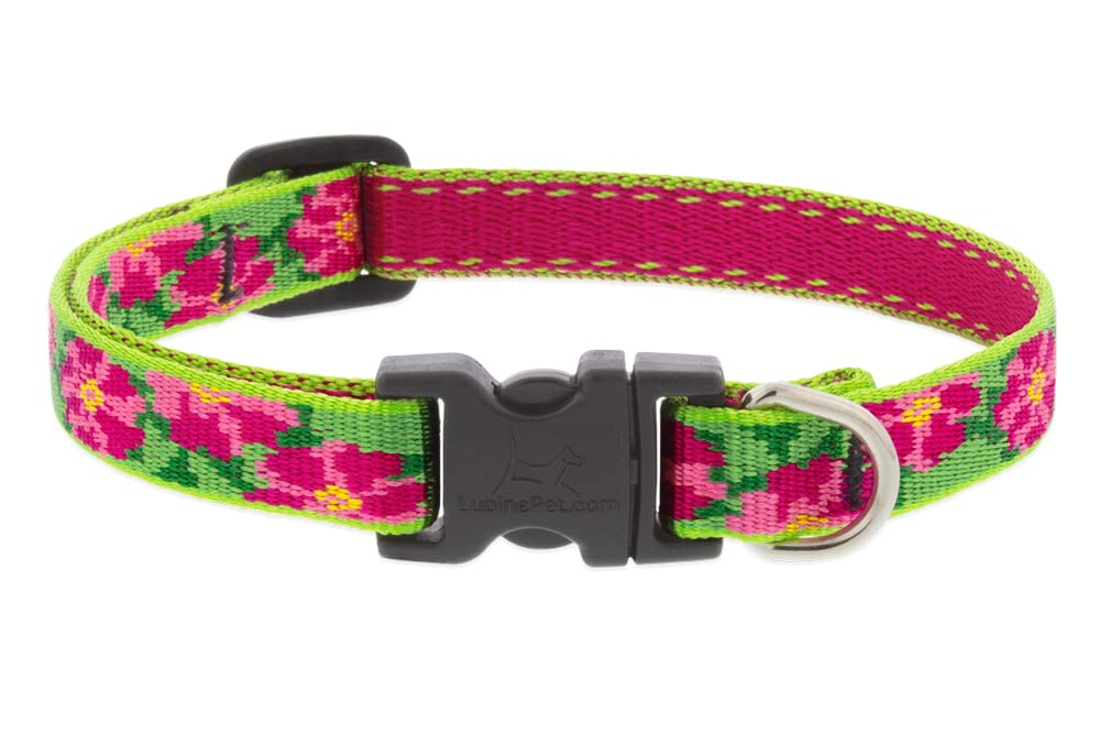 Lupine Extra Small Dog Collar 1/2" Wide Petunias Adjusts from 6" to 9"