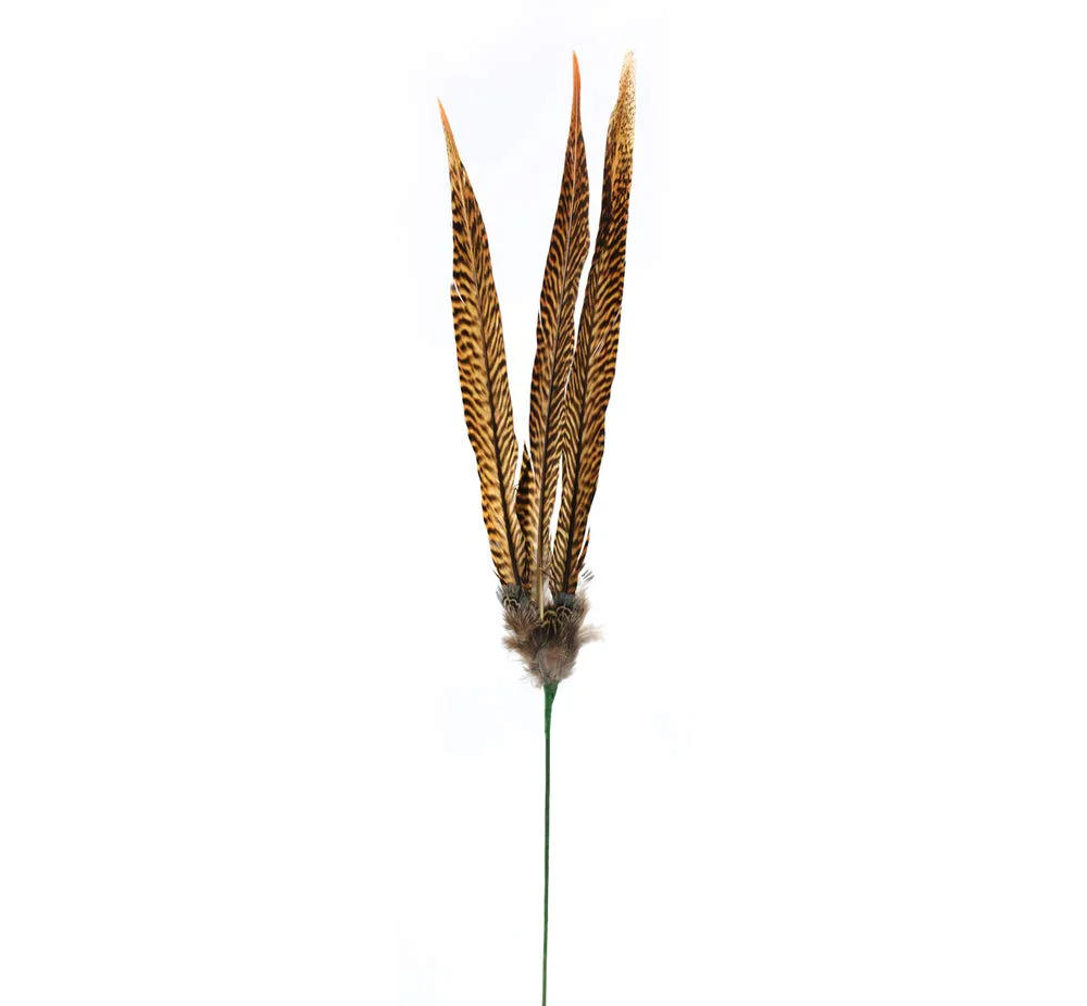 Golden Pheasant Feather Stem 27" Natural, 4 Individual Stems Included
