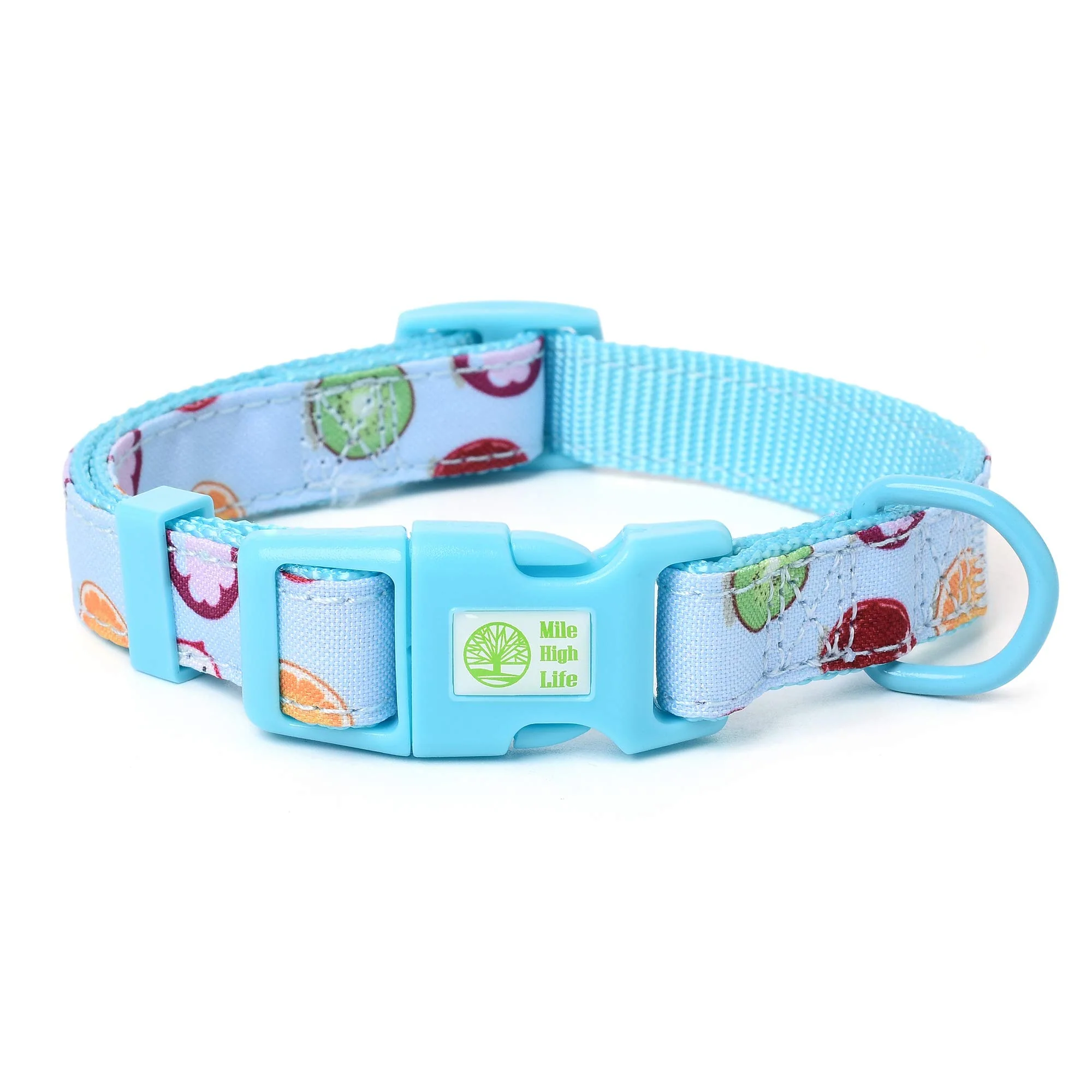 Mile High Life | Tropical Fruit Summer Collection | Soft Poly Cotton Fabric | Girl Dog Collars (Citrus, Collar: X-Small Neck 9"-13" -20 Ib)