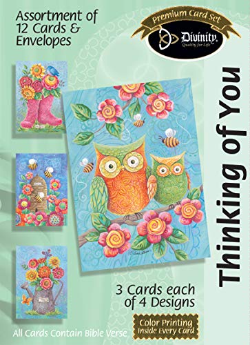 Divinity Boutique Greeting Card Assortment: Thinking of You, Owls and Boots (22183N)