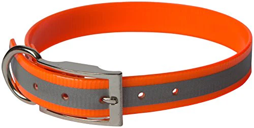 OmniPet Sunglo Reflective Regular Dog Collar, 1 x 25, Orange